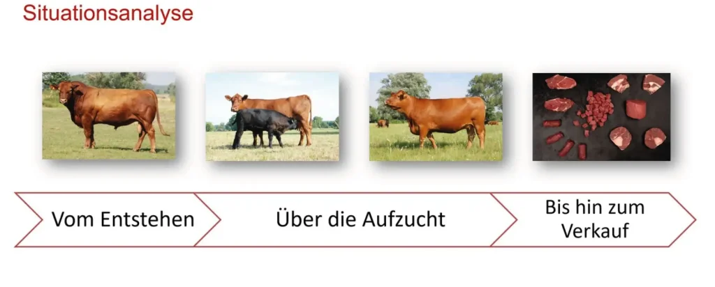 Beispielhafter Umfang einer Prozessanalyse